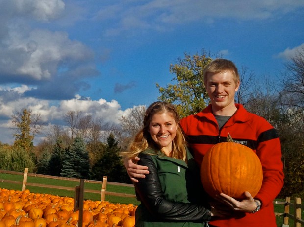 Pumpkin Patch | Not Your Average Dairy Queen