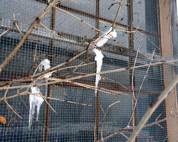 Friday Favorites | Not Your Average Dairy Queen