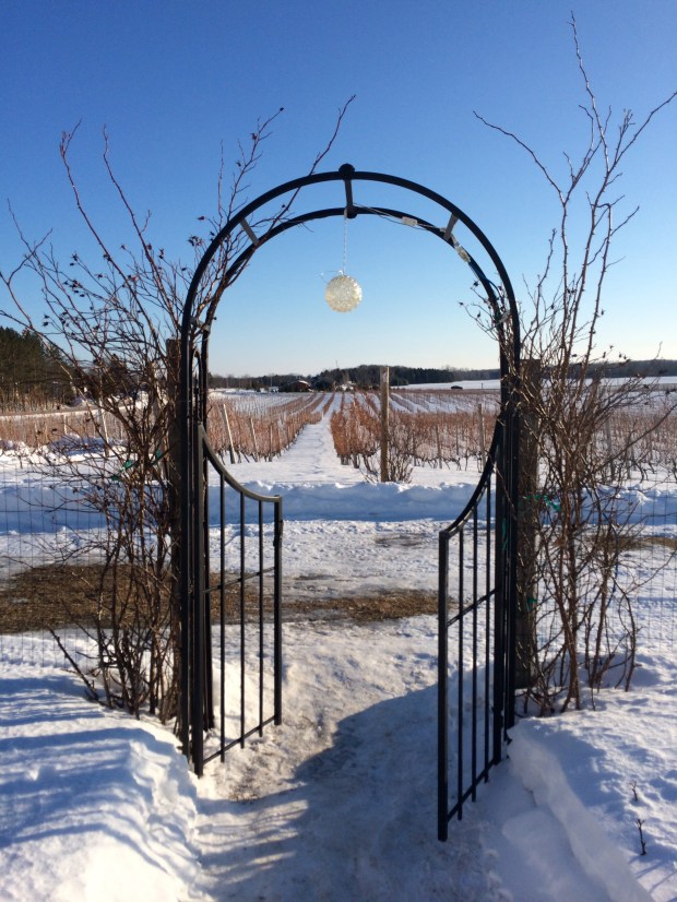 Winter Wine Festival | Not Your Average Dairy Queen