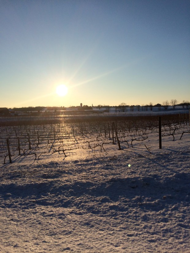 Winter Wine Festival | Not Your Average Dairy Queen