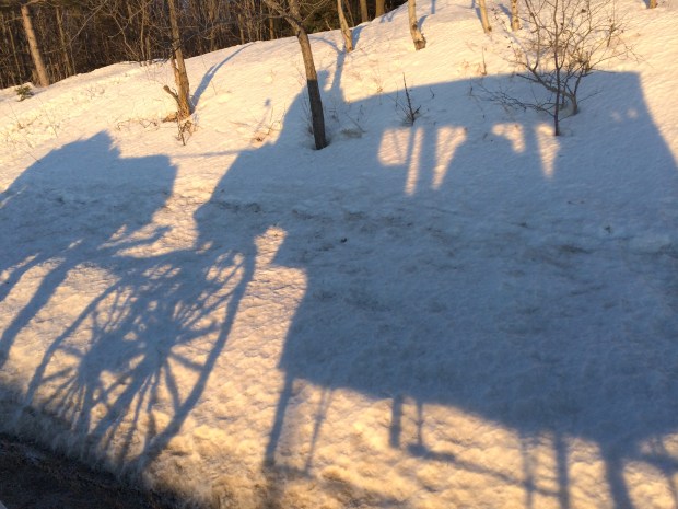 Winter Wine Festival | Not Your Average Dairy Queen