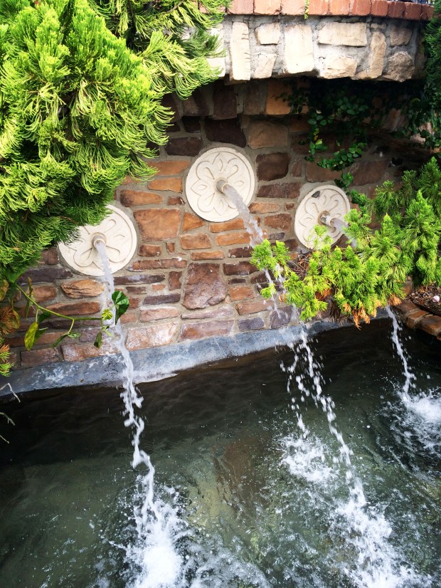 Friday Favorites | Not Your Average Dairy Queen