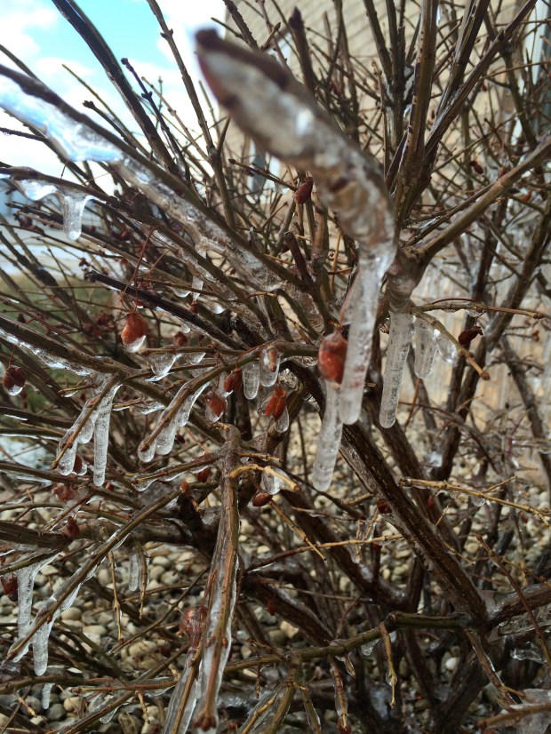 Friday Favorites | Not Your Average Dairy Queen