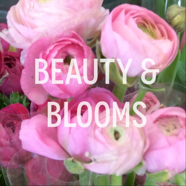 Introducing: Beauty and Blooms