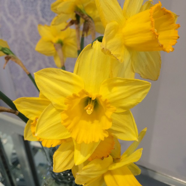 Friday Favorites | Beauty and Blooms