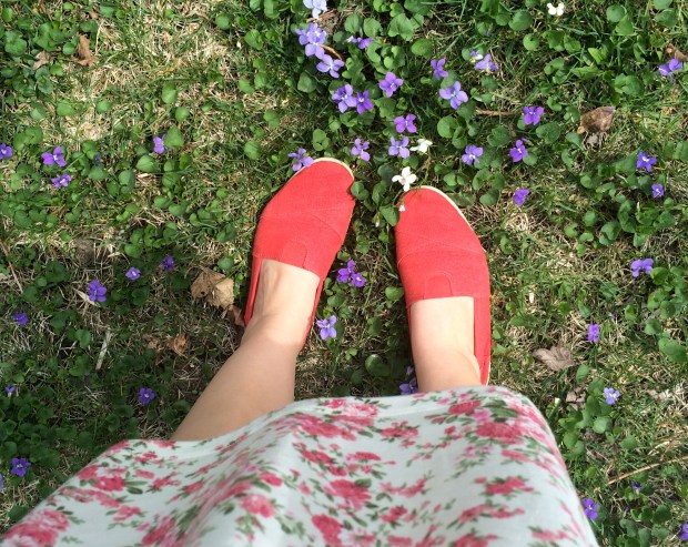 Nature Walk | Beauty and Blooms