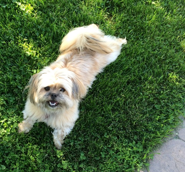 Friday Favorites | Beauty and Blooms