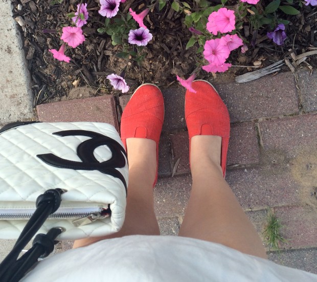 Friday Favorites | Beauty and Blooms