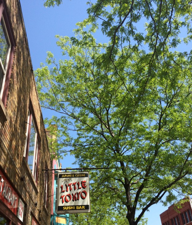 Friday Favorites | Beauty and Blooms