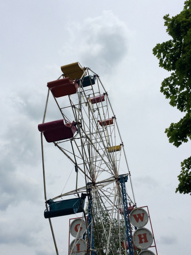 Friday Favorites | Beauty and Blooms