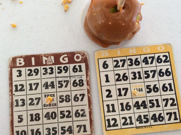 Friday Favorites | Beauty and Blooms