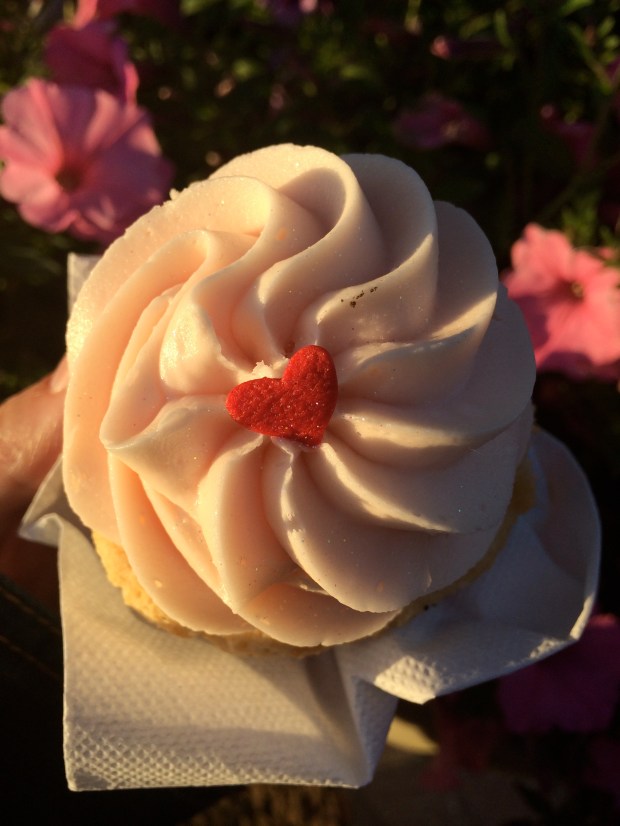 Friday Favorites | Beauty and Blooms