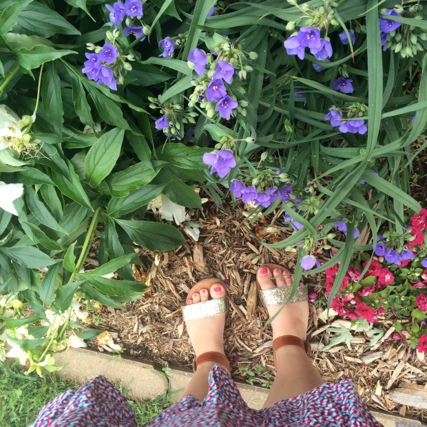 Friday Favorites | Beauty and Blooms