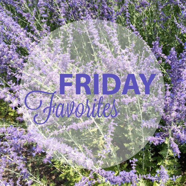 Friday Favorites | Beauty and Blooms