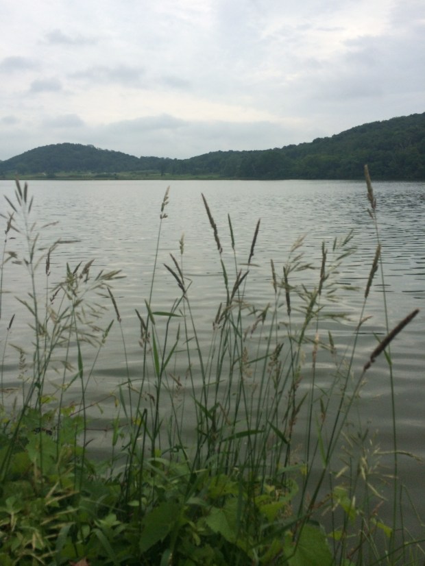 Indian Lake | Beauty and Blooms