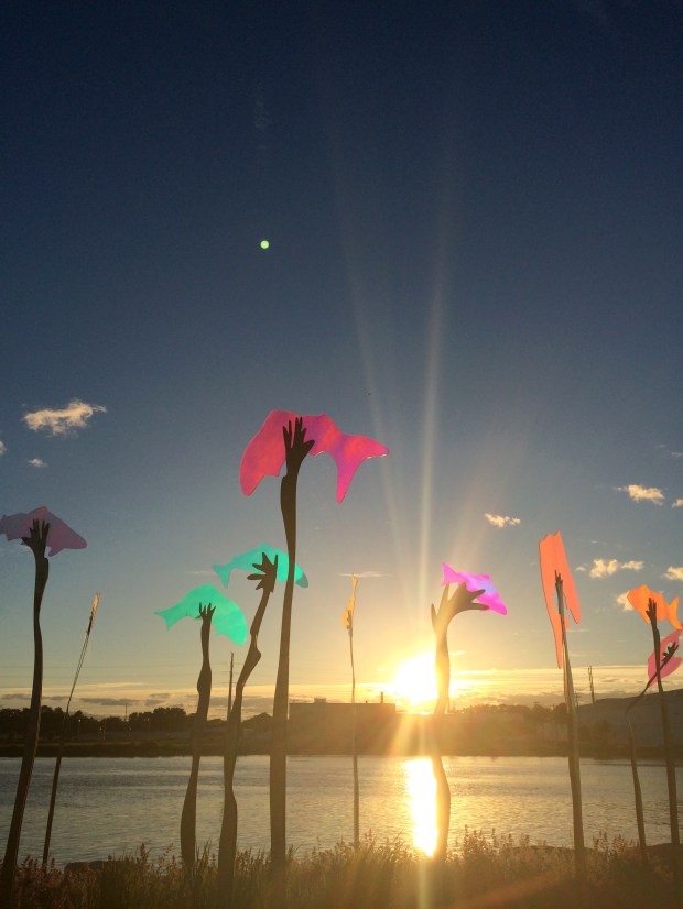 Friday Favorites | Beauty and Blooms