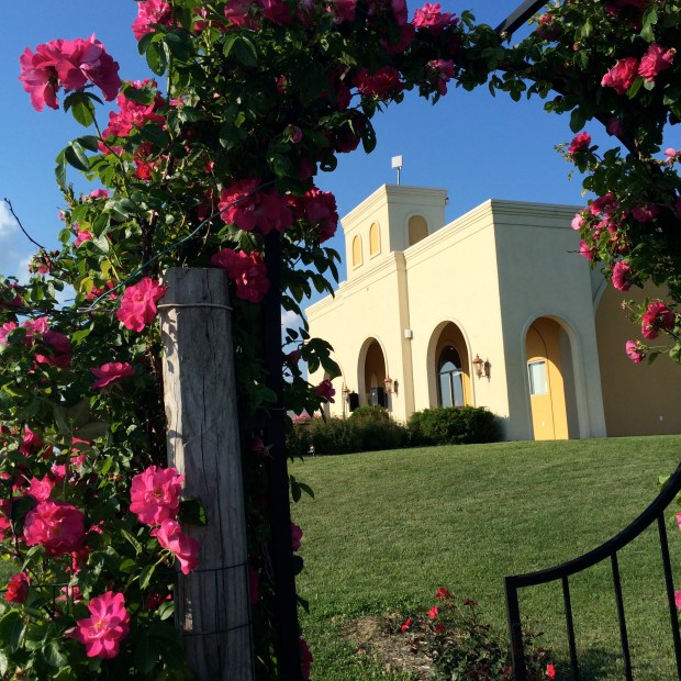 Music in the Vineyard | Beauty and Blooms