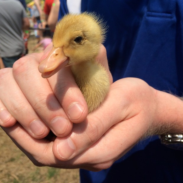 Friday Favorites | Beauty and Blooms