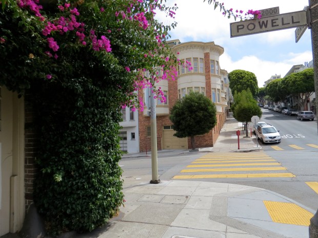 San Francisco Honeymoon | Beauty and Blooms