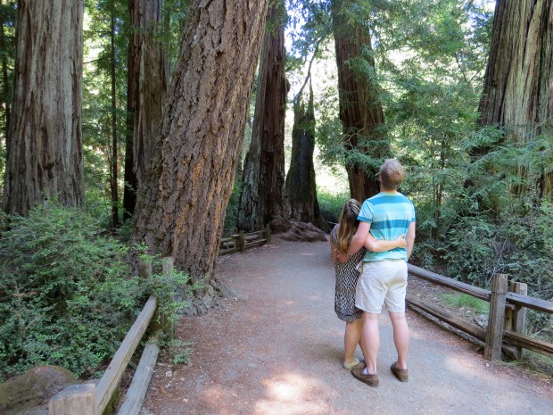 Honeymoon: Big Basin State Park