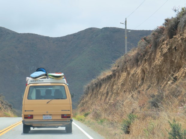 Honeymoon : Big Sur | Beauty and Blooms