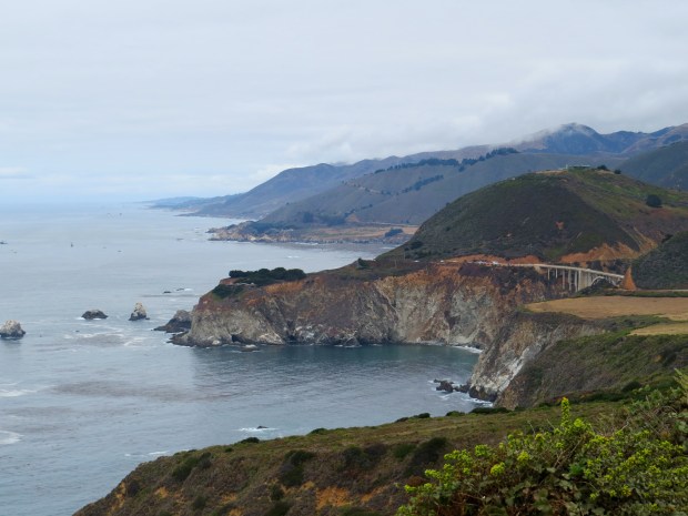 Honeymoon : Big Sur | Beauty and Blooms