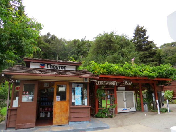 Honeymoon : Big Sur | Beauty and Blooms