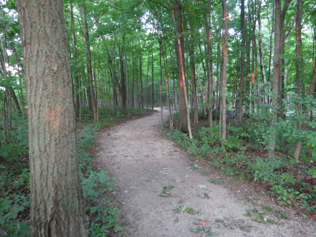 High Cliff State Park | Beauty and Blooms