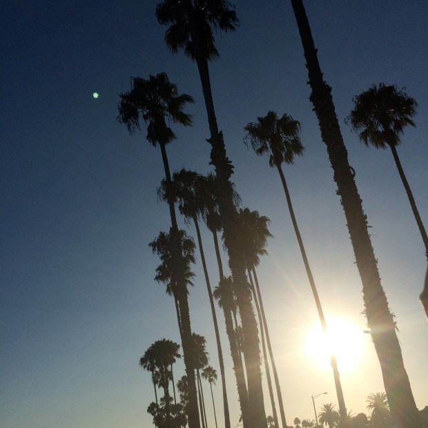 Honeymoon: LA | Beauty and Blooms