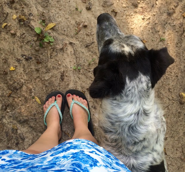 Friday Favorites | Beauty and Blooms