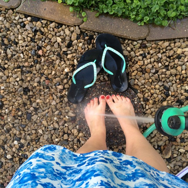 Friday Favorites | Beauty and Blooms