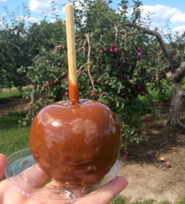 Ski High | Beauty and Blooms