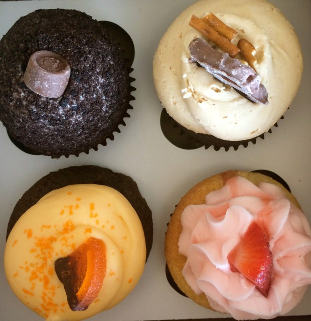 Friday Favorites | Beauty and Blooms