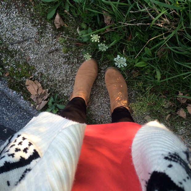 Friday Favorites | Beauty and Blooms