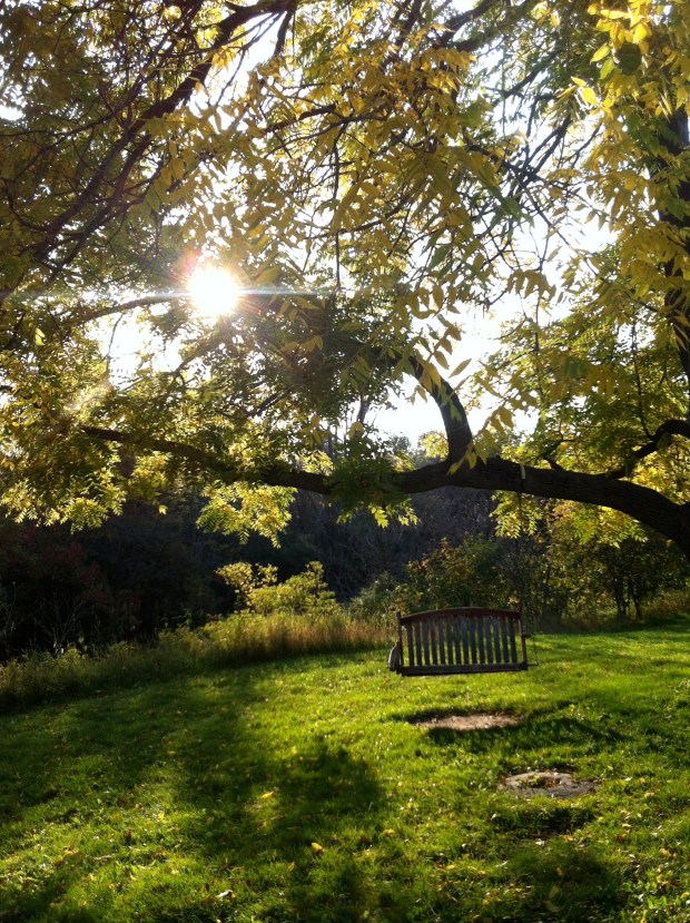 Neighborhood Bike Ride| Beauty and Blooms