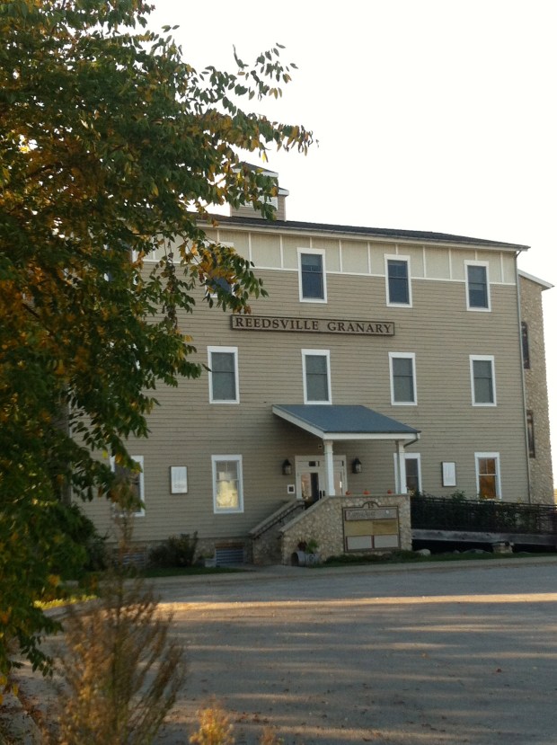 Neighborhood Bike Ride| Beauty and Blooms