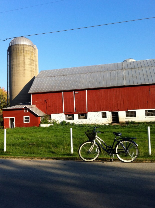 Neighborhood Bike Ride| Beauty and Blooms