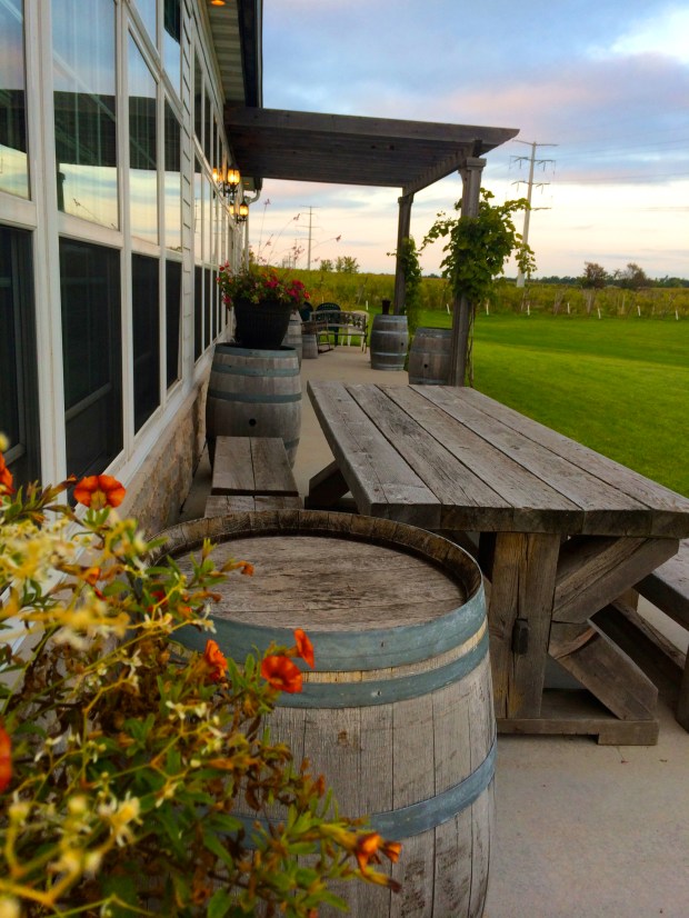 Night at the Vineyard | Beauty and Blooms