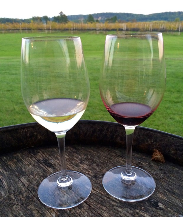 Night at the Vineyard | Beauty and Blooms