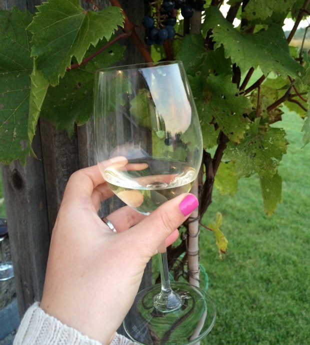 Friday Favorites | Beauty and Blooms