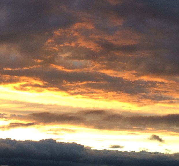 Friday Favorites | Beauty and Blooms