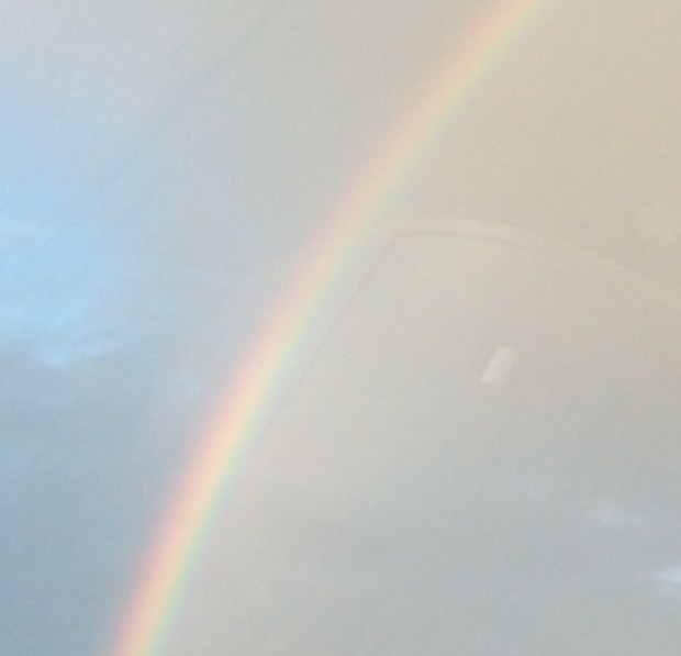 Friday Favorites | Beauty and Blooms