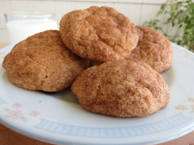 Pumpkin Sinckerdoodle | Beauty and Blooms