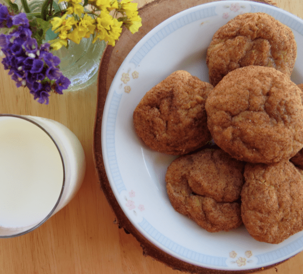 Pumpkin Sinckerdoodle | Beauty and Blooms