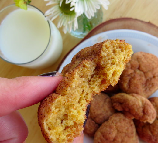 Pumpkin Sinckerdoodle | Beauty and Blooms