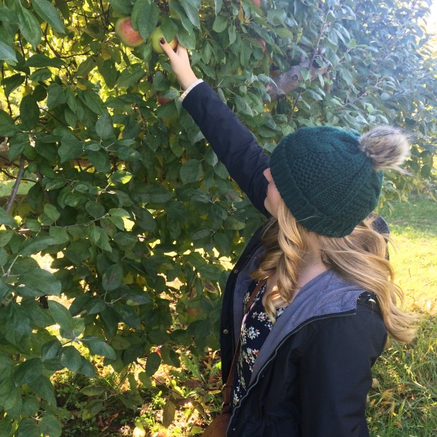 Apple Orchard | Beauty and Blooms