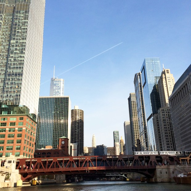 Friday Favorites | Beauty & Blooms