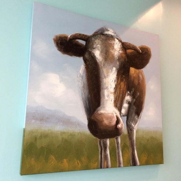 Friday Favorites | Beauty and Blooms