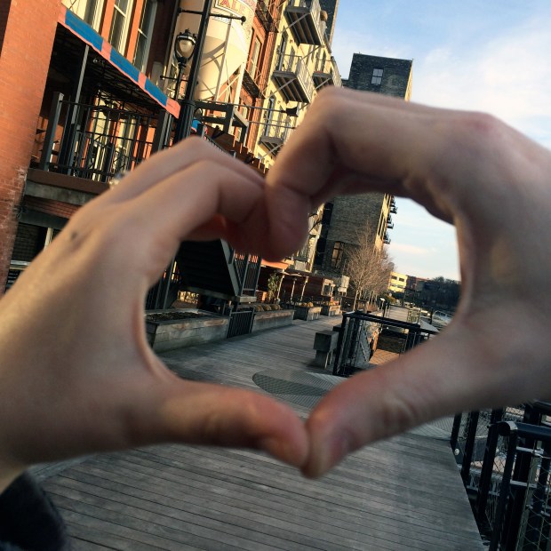 Year in Review | Beauty and Blooms