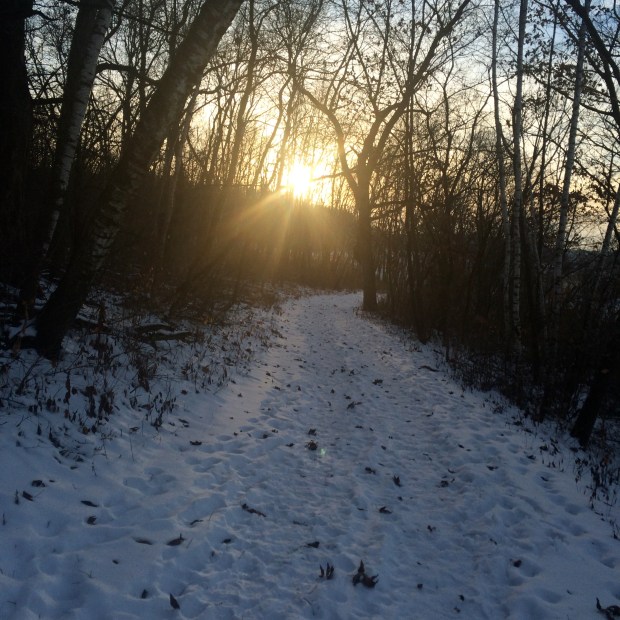 Winter Hike | Beauty and Blooms